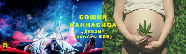 МДПВ Почеп
