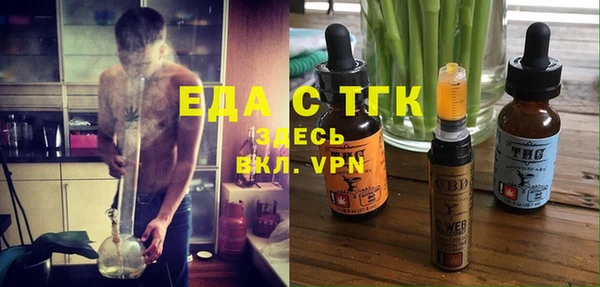 индика Кукмор