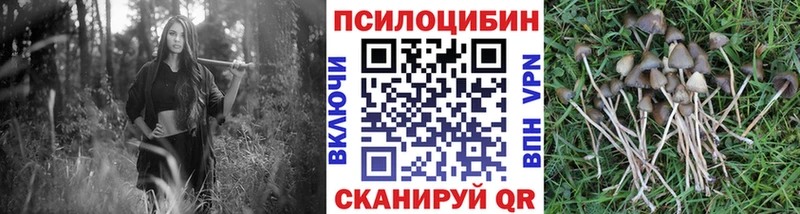 Псилоцибиновые грибы Magic Shrooms  Костерёво 
